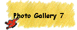 Photo Gallery 7