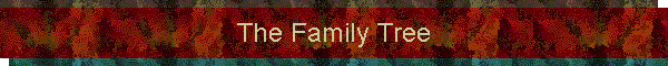 BUY The Family Tree