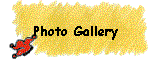 Photo Gallery